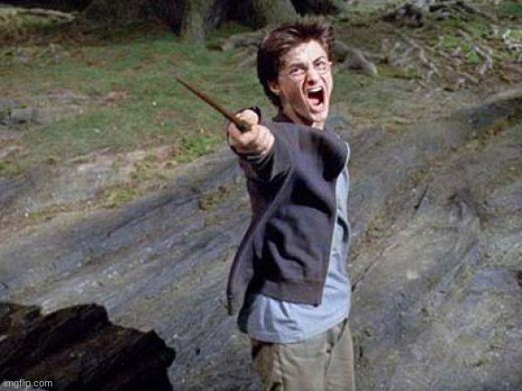 Harry Potter Yelling | image tagged in harry potter yelling | made w/ Imgflip meme maker