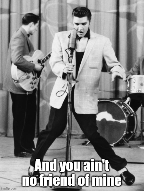 Oh No Elvis | And you ain't no friend of mine | image tagged in oh no elvis | made w/ Imgflip meme maker