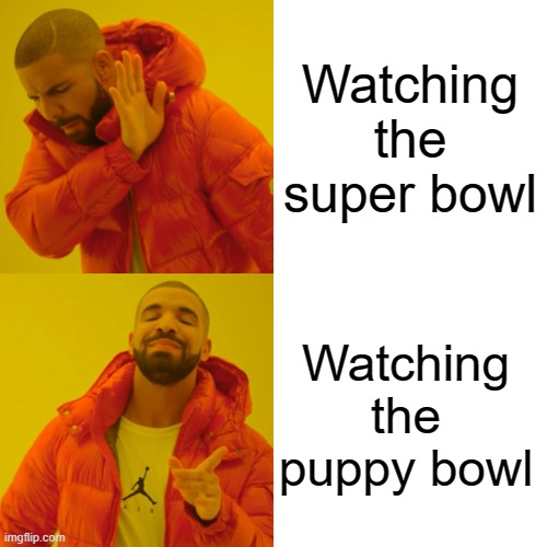 I'm cheering for team fluff | Watching the super bowl; Watching the puppy bowl | image tagged in memes,drake hotline bling | made w/ Imgflip meme maker