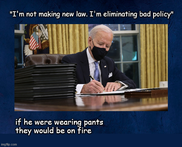 liar, liar pants on fire | "I'm not making new law. I'm eliminating bad policy"; if he were wearing pants
they would be on fire | image tagged in politics | made w/ Imgflip meme maker