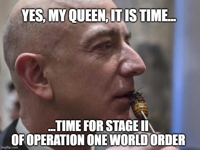 bezo | YES, MY QUEEN, IT IS TIME... ...TIME FOR STAGE II OF OPERATION ONE WORLD ORDER | image tagged in amazon,new world order,world domination,liberals,politics | made w/ Imgflip meme maker