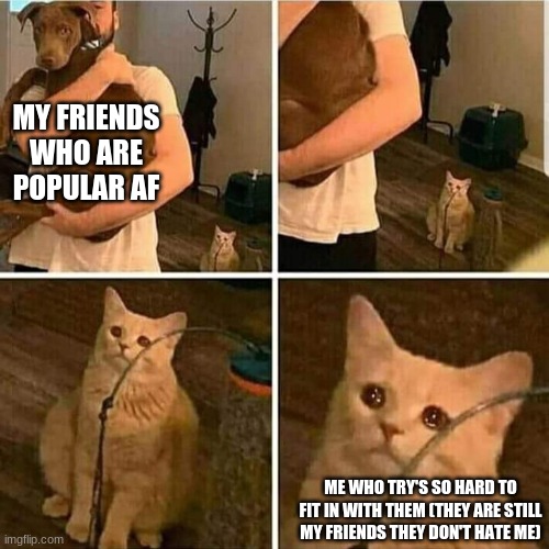 o o f | MY FRIENDS WHO ARE POPULAR AF; ME WHO TRY'S SO HARD TO FIT IN WITH THEM (THEY ARE STILL MY FRIENDS THEY DON'T HATE ME) | image tagged in sad cat holding dog | made w/ Imgflip meme maker