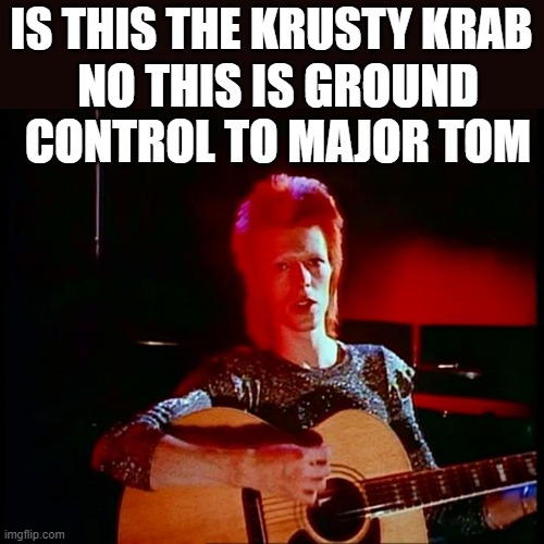 Ground Control to Mr.Krabs | IS THIS THE KRUSTY KRAB; NO THIS IS GROUND CONTROL TO MAJOR TOM | image tagged in funny | made w/ Imgflip meme maker