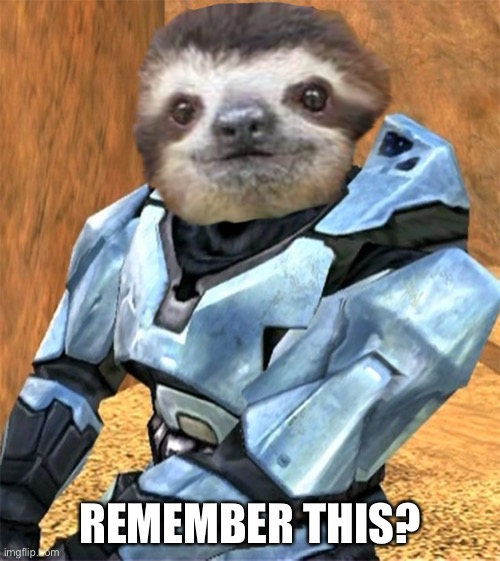 Sloth Church (2) | REMEMBER THIS? | image tagged in sloth church 2 | made w/ Imgflip meme maker