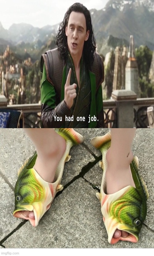 Fish slippers | image tagged in you had one job just the one | made w/ Imgflip meme maker