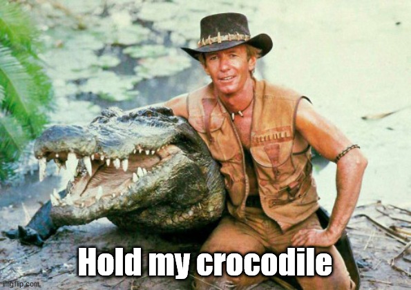 Crocodile Dundee Paul Hogan | Hold my crocodile | image tagged in crocodile dundee paul hogan | made w/ Imgflip meme maker