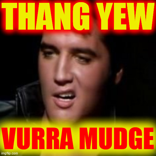 Elvis, thank you | THANG YEW VURRA MUDGE | image tagged in elvis thank you | made w/ Imgflip meme maker