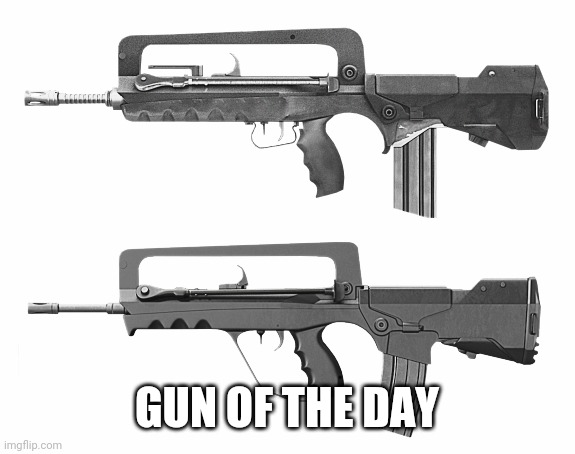 Gun : FAMAS | GUN OF THE DAY | made w/ Imgflip meme maker
