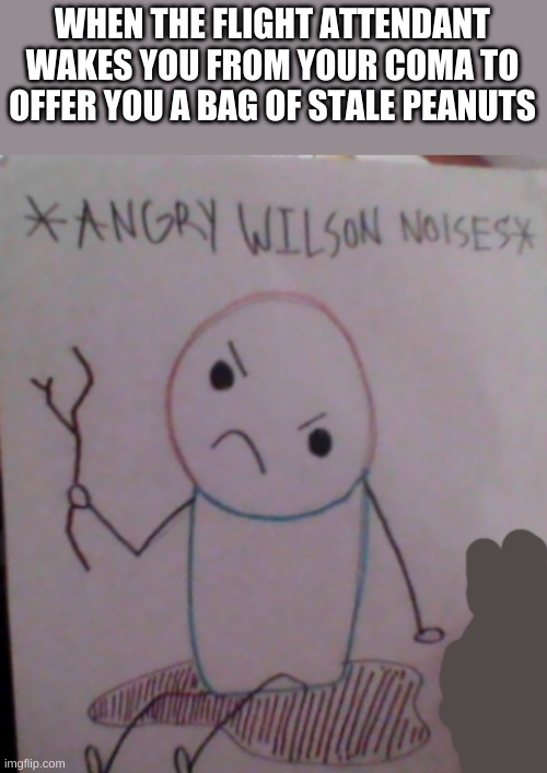 Angry wilson noises | WHEN THE FLIGHT ATTENDANT WAKES YOU FROM YOUR COMA TO OFFER YOU A BAG OF STALE PEANUTS | image tagged in angry wilson noises | made w/ Imgflip meme maker