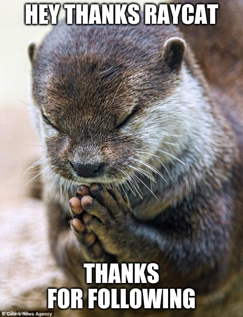 Thank you Lord Otter | HEY THANKS RAYCAT; THANKS FOR FOLLOWING | image tagged in thank you lord otter | made w/ Imgflip meme maker
