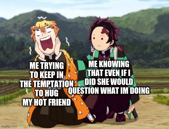 its tempting but no | ME KNOWING THAT EVEN IF I DID SHE WOULD QUESTION WHAT IM DOING; ME TRYING TO KEEP IN THE TEMPTATION TO HUG MY HOT FRIEND | image tagged in tanjiro and zenitsu,no | made w/ Imgflip meme maker