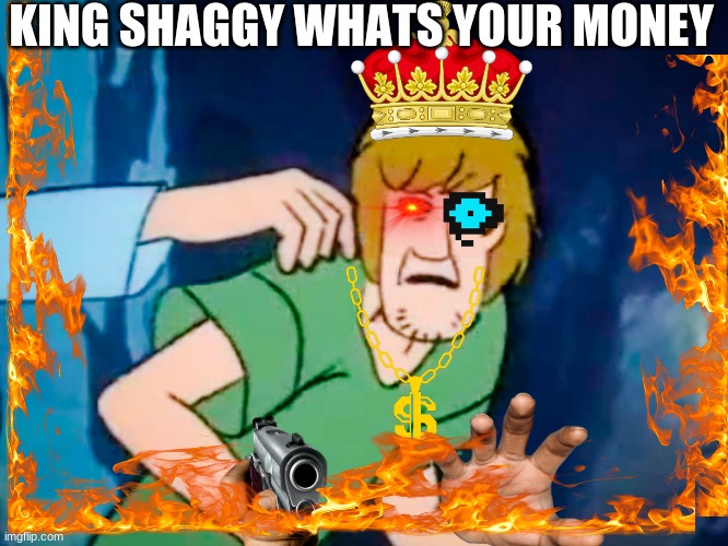 Shaggy meme | KING SHAGGY WHATS YOUR MONEY | image tagged in shaggy meme | made w/ Imgflip meme maker