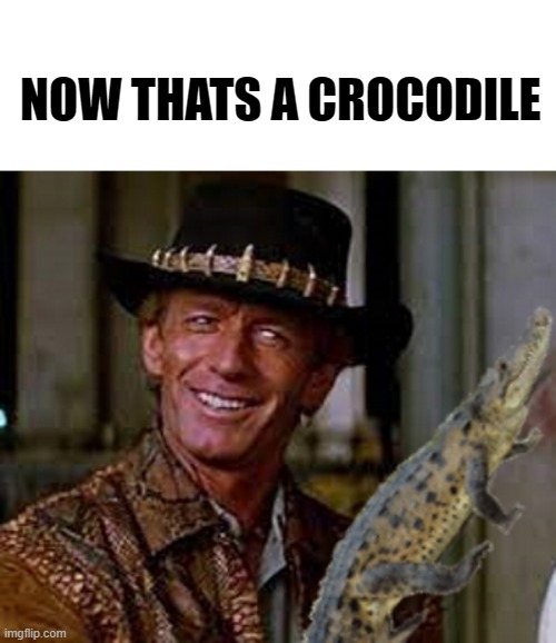 NOW THATS A CROCODILE | made w/ Imgflip meme maker