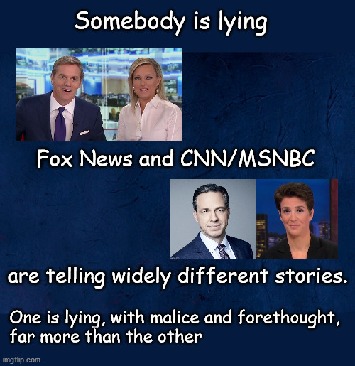 somebody is lying | Somebody is lying; Fox News and CNN/MSNBC; are telling widely different stories. One is lying, with malice and forethought,
far more than the other | image tagged in politics | made w/ Imgflip meme maker