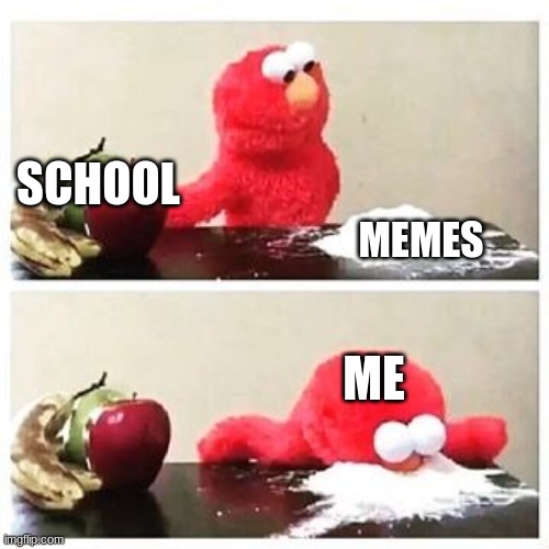 memes or school? | SCHOOL; MEMES; ME | image tagged in elmo cocaine,memes,school,elmo | made w/ Imgflip meme maker