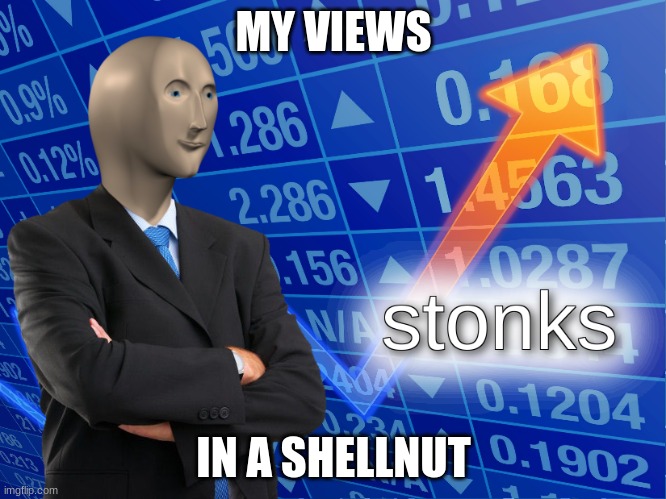 stonks | MY VIEWS; IN A SHELLNUT | image tagged in stonks | made w/ Imgflip meme maker