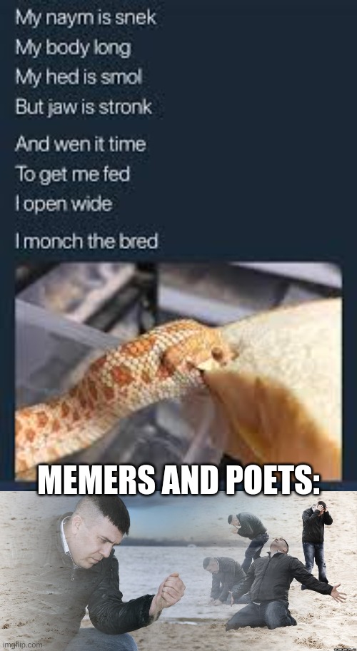 s n e k | MEMERS AND POETS: | image tagged in guy with sand in the hands of despair,dramatic dmitry,sad guy on the beach,memes,snek | made w/ Imgflip meme maker