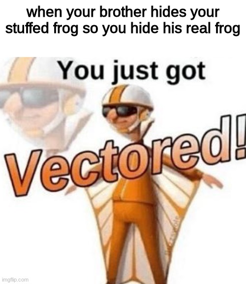 You just got vectored | when your brother hides your stuffed frog so you hide his real frog | image tagged in you just got vectored | made w/ Imgflip meme maker