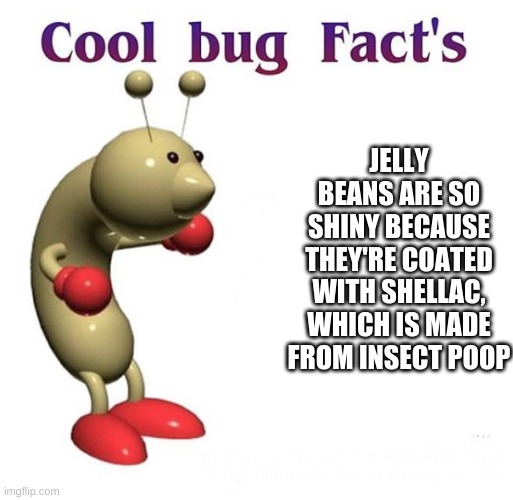 Cool Bug Facts | JELLY BEANS ARE SO SHINY BECAUSE THEY'RE COATED WITH SHELLAC, WHICH IS MADE FROM INSECT POOP | image tagged in cool bug facts | made w/ Imgflip meme maker