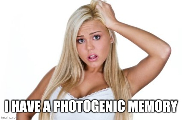 Dumb Blonde | I HAVE A PHOTOGENIC MEMORY | image tagged in dumb blonde | made w/ Imgflip meme maker