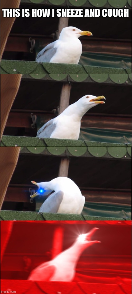 Inhaling Seagull | THIS IS HOW I SNEEZE AND COUGH | image tagged in memes,inhaling seagull | made w/ Imgflip meme maker