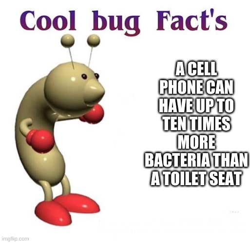 Cool Bug Facts | A CELL PHONE CAN HAVE UP TO TEN TIMES MORE BACTERIA THAN A TOILET SEAT | image tagged in cool bug facts | made w/ Imgflip meme maker