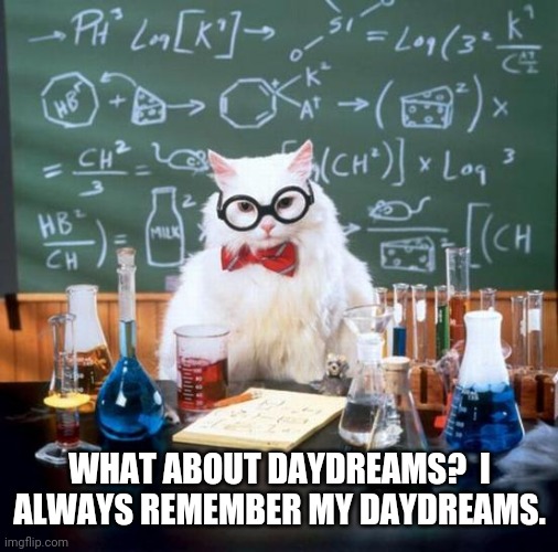 Chemistry Cat Meme | WHAT ABOUT DAYDREAMS?  I ALWAYS REMEMBER MY DAYDREAMS. | image tagged in memes,chemistry cat | made w/ Imgflip meme maker