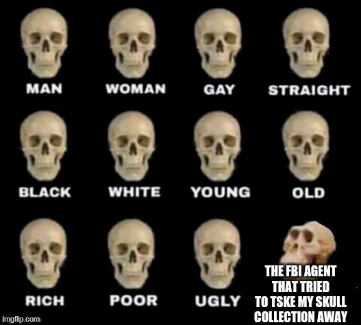 idiot skull | THE FBI AGENT THAT TRIED TO TSKE MY SKULL COLLECTION AWAY | image tagged in idiot skull | made w/ Imgflip meme maker