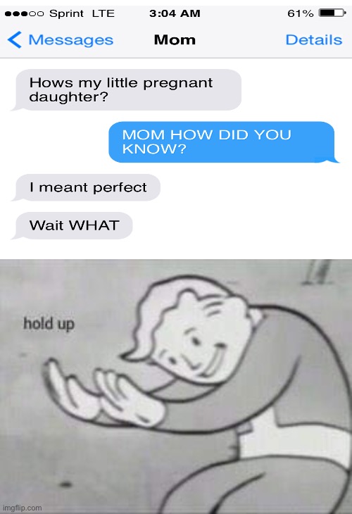 Hol’ up | image tagged in fallout hold up | made w/ Imgflip meme maker