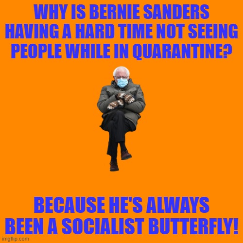 Sorry if this is considered political | WHY IS BERNIE SANDERS HAVING A HARD TIME NOT SEEING PEOPLE WHILE IN QUARANTINE? BECAUSE HE'S ALWAYS BEEN A SOCIALIST BUTTERFLY! | image tagged in memes,blank transparent square,bernie,pun | made w/ Imgflip meme maker