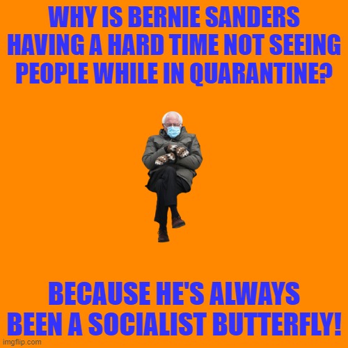 My first meme in the politics stream! | WHY IS BERNIE SANDERS HAVING A HARD TIME NOT SEEING PEOPLE WHILE IN QUARANTINE? BECAUSE HE'S ALWAYS BEEN A SOCIALIST BUTTERFLY! | image tagged in memes,blank transparent square,bernie,pun,politics | made w/ Imgflip meme maker