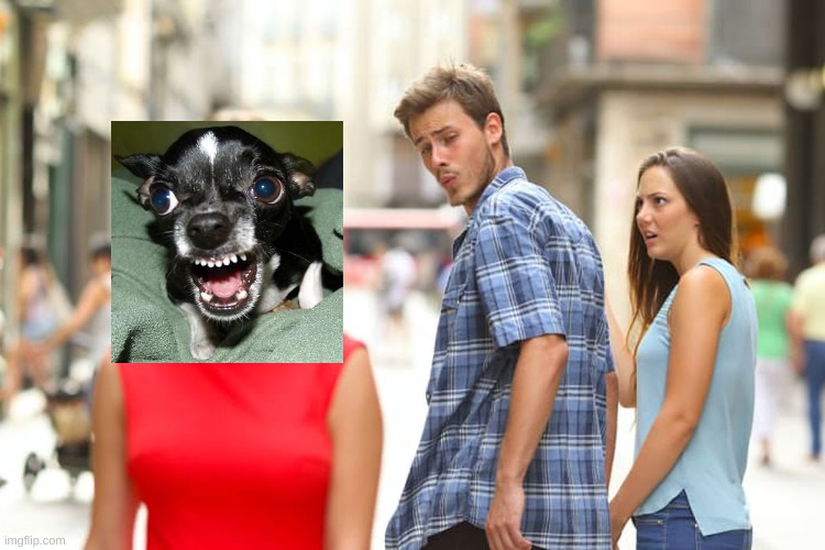 how ??? | image tagged in memes,distracted boyfriend | made w/ Imgflip meme maker