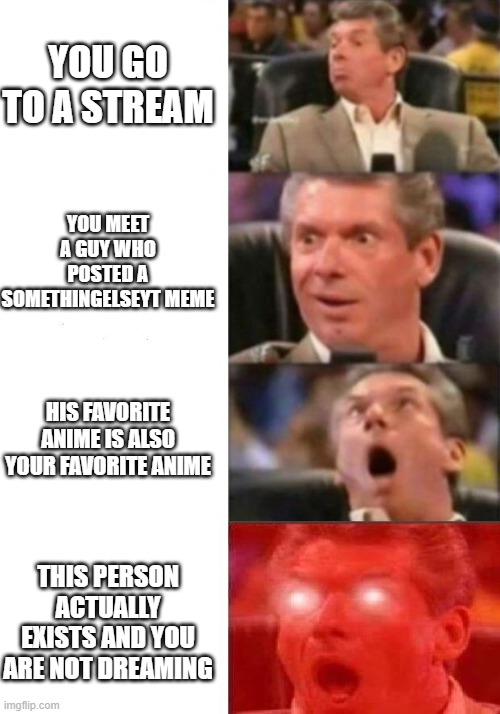 True story... | YOU GO TO A STREAM; YOU MEET A GUY WHO POSTED A SOMETHINGELSEYT MEME; HIS FAVORITE ANIME IS ALSO YOUR FAVORITE ANIME; THIS PERSON ACTUALLY EXISTS AND YOU ARE NOT DREAMING | image tagged in mr mcmahon reaction | made w/ Imgflip meme maker