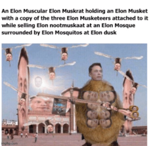 Elon Musket | image tagged in elon musk | made w/ Imgflip meme maker