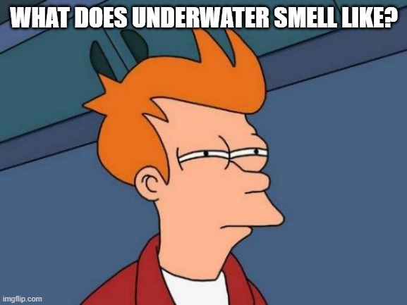 Futurama Fry Meme | WHAT DOES UNDERWATER SMELL LIKE? | image tagged in memes,futurama fry | made w/ Imgflip meme maker