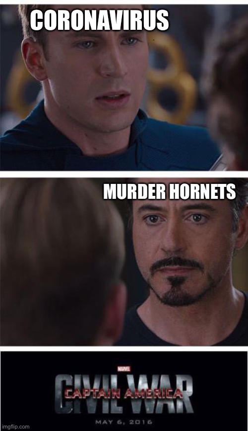 Marvel Civil War 1 | CORONAVIRUS; MURDER HORNETS | image tagged in memes,marvel civil war 1 | made w/ Imgflip meme maker