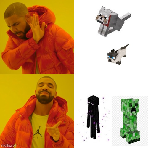 Only pros have real pets | image tagged in memes,drake hotline bling | made w/ Imgflip meme maker