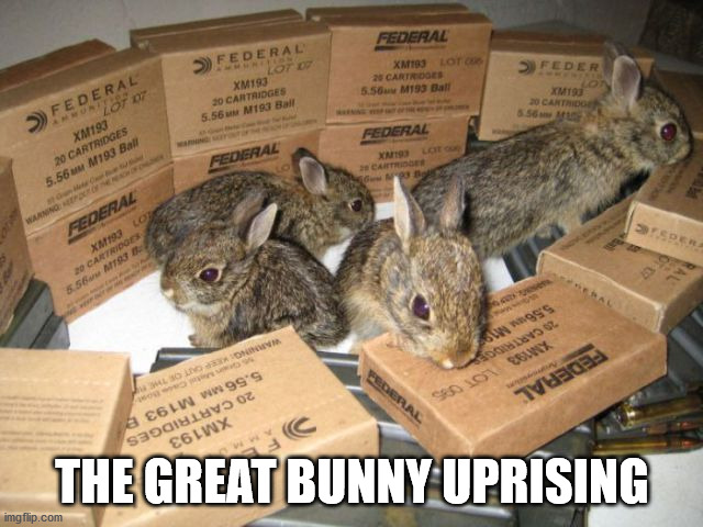THE GREAT BUNNY UPRISING | image tagged in bunnies | made w/ Imgflip meme maker