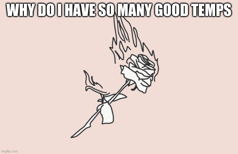burning rose | WHY DO I HAVE SO MANY GOOD TEMPS | image tagged in burning rose | made w/ Imgflip meme maker