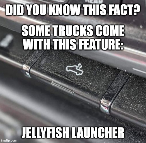 Jellyfish Launcher |  DID YOU KNOW THIS FACT? SOME TRUCKS COME WITH THIS FEATURE:; JELLYFISH LAUNCHER | image tagged in haiku,meme,jellyfish,button,truck | made w/ Imgflip meme maker