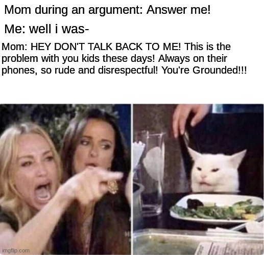Parent logic | Mom during an argument: Answer me! Me: well i was-; Mom: HEY DON'T TALK BACK TO ME! This is the problem with you kids these days! Always on their phones, so rude and disrespectful! You're Grounded!!! | image tagged in real housewives screaming cat,parent logic | made w/ Imgflip meme maker