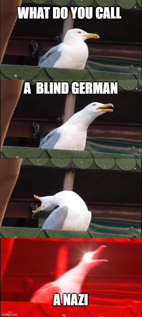 Inhaling Seagull Meme | WHAT DO YOU CALL; A  BLIND GERMAN; A NAZI | image tagged in memes,inhaling seagull | made w/ Imgflip meme maker