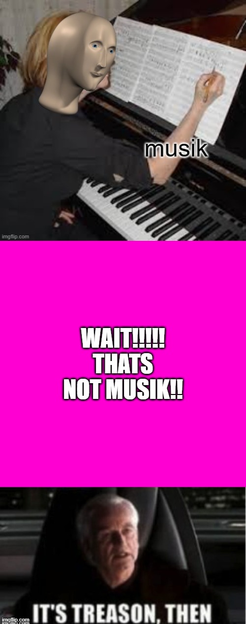 treason | WAIT!!!!! THATS NOT MUSIK!! | image tagged in musik,blank hot pink background,it's treason then | made w/ Imgflip meme maker