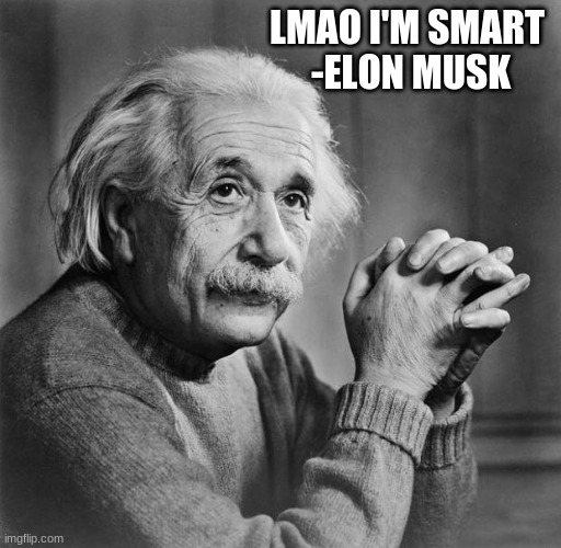 Einstein | LMAO I'M SMART 
-ELON MUSK | image tagged in einstein | made w/ Imgflip meme maker
