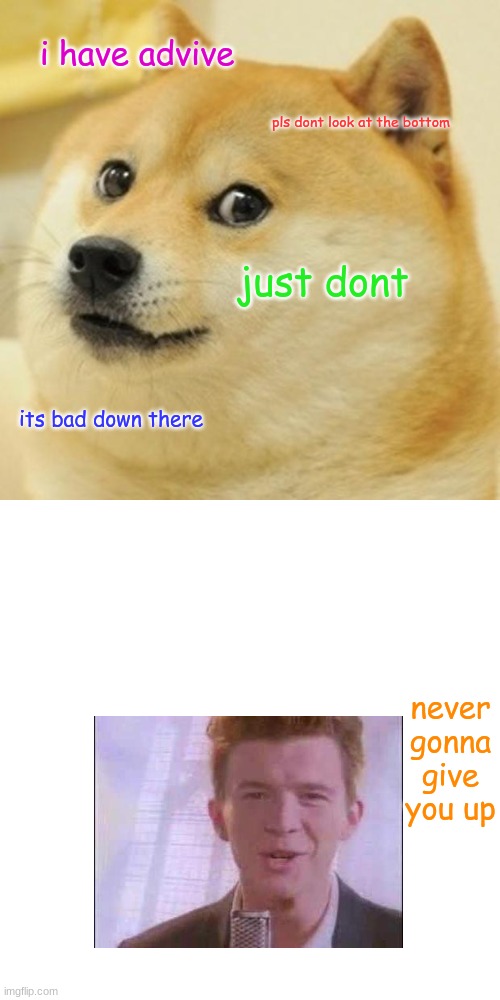 Doge Meme | i have advive; pls dont look at the bottom; just dont; its bad down there; never gonna give you up | image tagged in memes,doge | made w/ Imgflip meme maker