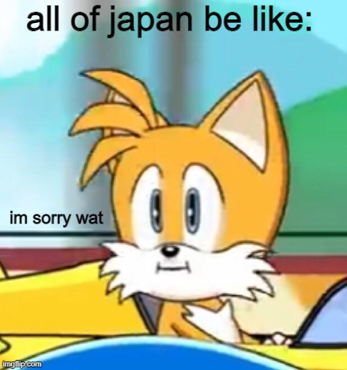 Tails hold up | im sorry wat all of japan be like: | image tagged in tails hold up | made w/ Imgflip meme maker