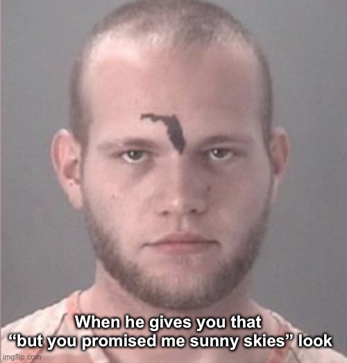 Florida mugshot | When he gives you that
 “but you promised me sunny skies” look | image tagged in mugshot | made w/ Imgflip meme maker