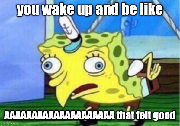 Mocking Spongebob Meme | you wake up and be like; AAAAAAAAAAAAAAAAAAAA that felt good | image tagged in memes,mocking spongebob | made w/ Imgflip meme maker