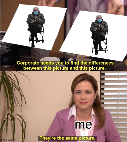 img flip be like | me | image tagged in memes,they're the same picture | made w/ Imgflip meme maker