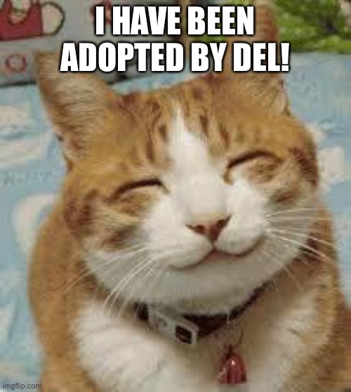 Happy cat | I HAVE BEEN ADOPTED BY DEL! | image tagged in memes,happy cat,imgflip family,ive been adopted | made w/ Imgflip meme maker